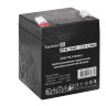 Аккумуляторная батарея EXEGATE DTM 12045 F2 EX297511RUS
